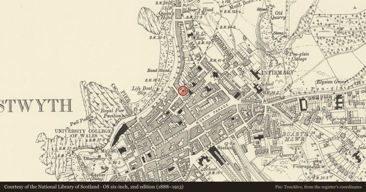Ordnance Survey six-inch map, 2nd edition (1888–1913) covering the location of Peacocks, Aberystwyth, Ceredigion, with a pin at the register's coordinates