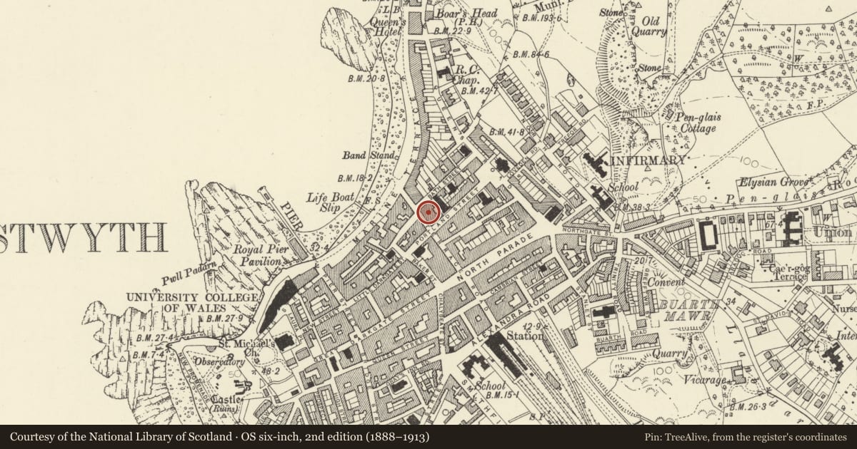Ordnance Survey six-inch map, 2nd edition (1888–1913) covering the location of Ceredigion Museum, Aberystwyth, Ceredigion, with a pin at the register's coordinates