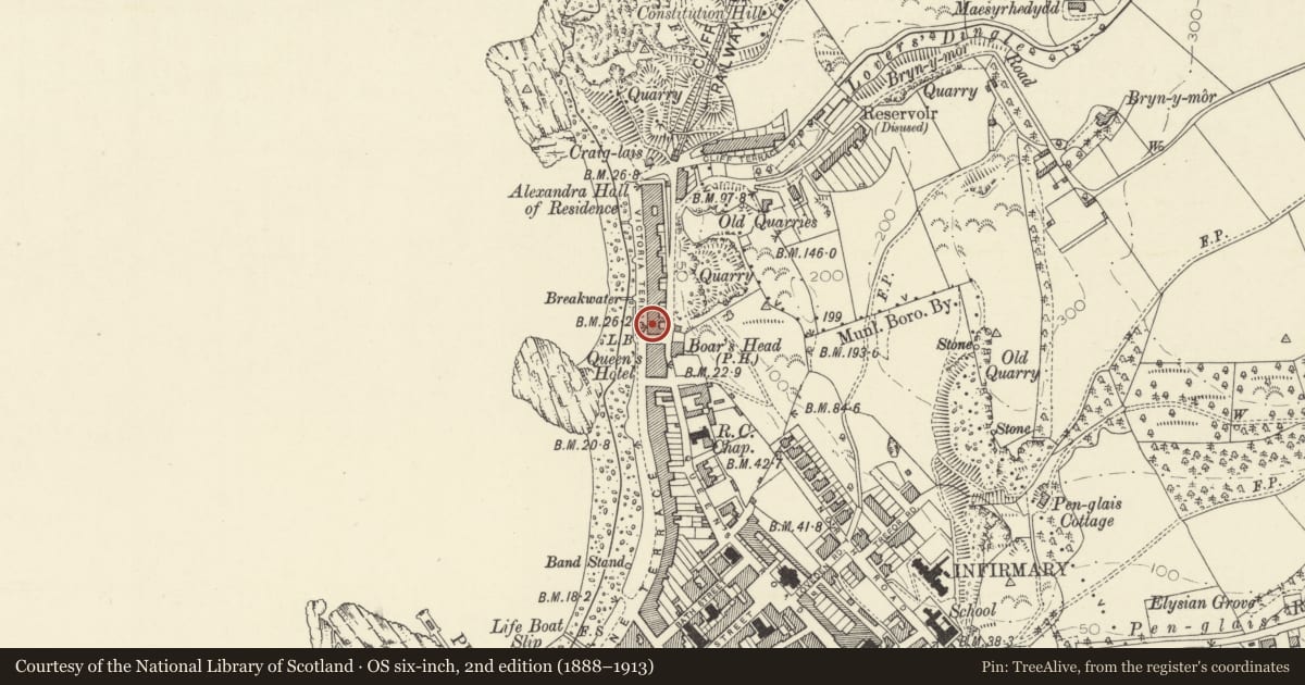 Ordnance Survey six-inch map, 2nd edition (1888–1913) covering the location of Victoria House (Forestry Commission), Aberystwyth, Ceredigion, with a pin at the register's coordinates