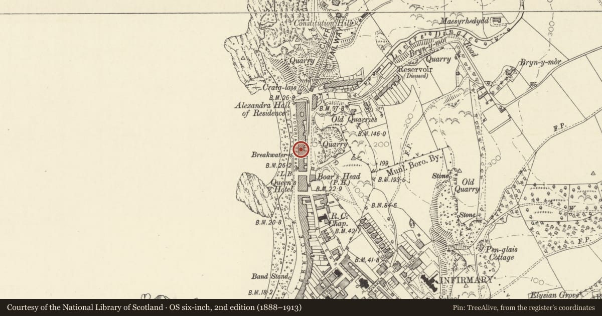 Ordnance Survey six-inch map, 2nd edition (1888–1913) covering the location of Plynlymon Hall including Caerleon, Aberystwyth, Ceredigion, with a pin at the register's coordinates