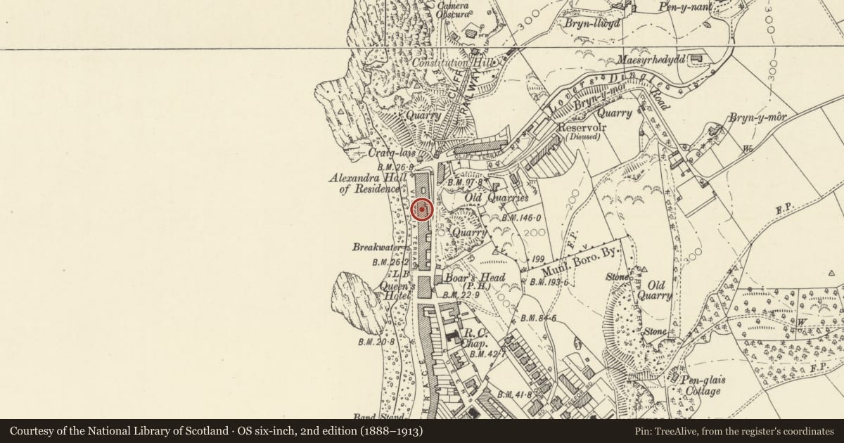 Ordnance Survey six-inch map, 2nd edition (1888–1913) covering the location of Blaenwern, Aberystwyth, Ceredigion, with a pin at the register's coordinates