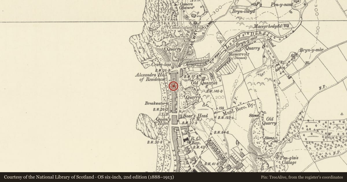 Ordnance Survey six-inch map, 2nd edition (1888–1913) covering the location of Abergeldie, Aberystwyth, Ceredigion, with a pin at the register's coordinates