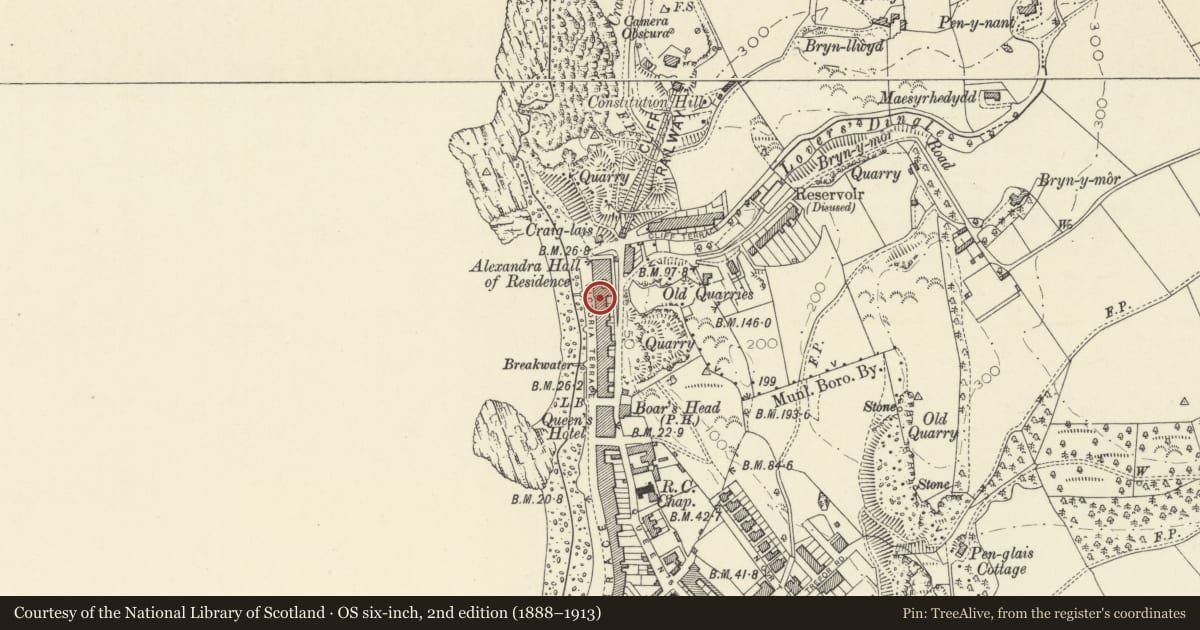 Ordnance Survey six-inch map, 2nd edition (1888–1913) covering the location of Balmoral, Aberystwyth, Ceredigion, with a pin at the register's coordinates