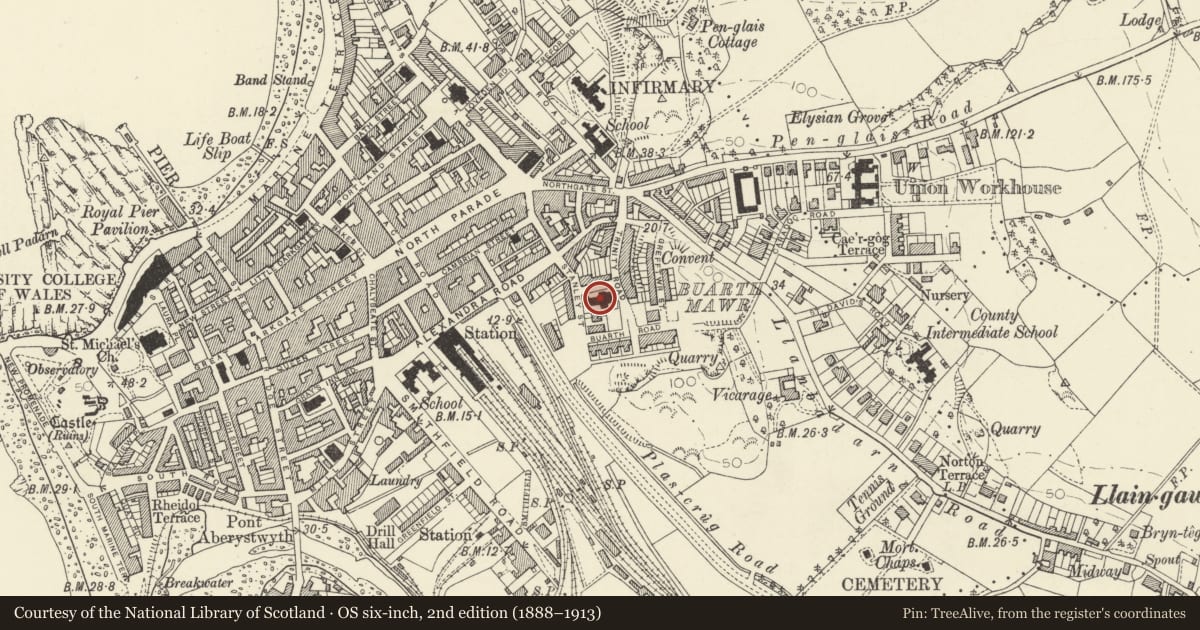 Ordnance Survey six-inch map, 2nd edition (1888–1913) covering the location of Holy Trinity Parish Church, Aberystwyth, Ceredigion, with a pin at the register's coordinates