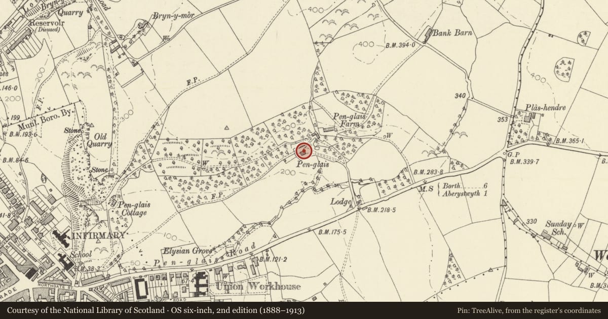 Ordnance Survey six-inch map, 2nd edition (1888–1913) covering the location of Plas Penglais, Aberystwyth, Ceredigion, with a pin at the register's coordinates
