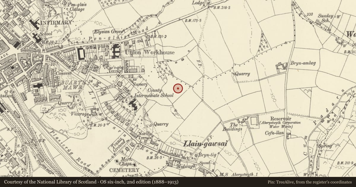 Ordnance Survey six-inch map, 2nd edition (1888–1913) covering the location of National Library of Wales, Aberystwyth, Ceredigion, with a pin at the register's coordinates
