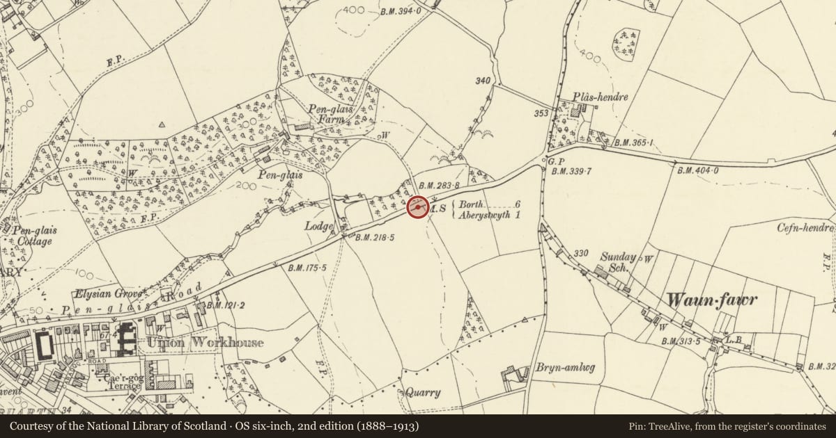 Ordnance Survey six-inch map, 2nd edition (1888–1913) covering the location of Milestone, Aberystwyth, Ceredigion, with a pin at the register's coordinates