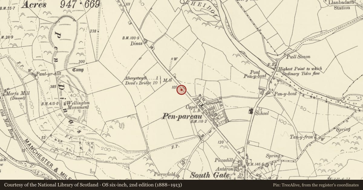 Ordnance Survey six-inch map, 2nd edition (1888–1913) covering the location of Milestone, Aberystwyth, Ceredigion, with a pin at the register's coordinates