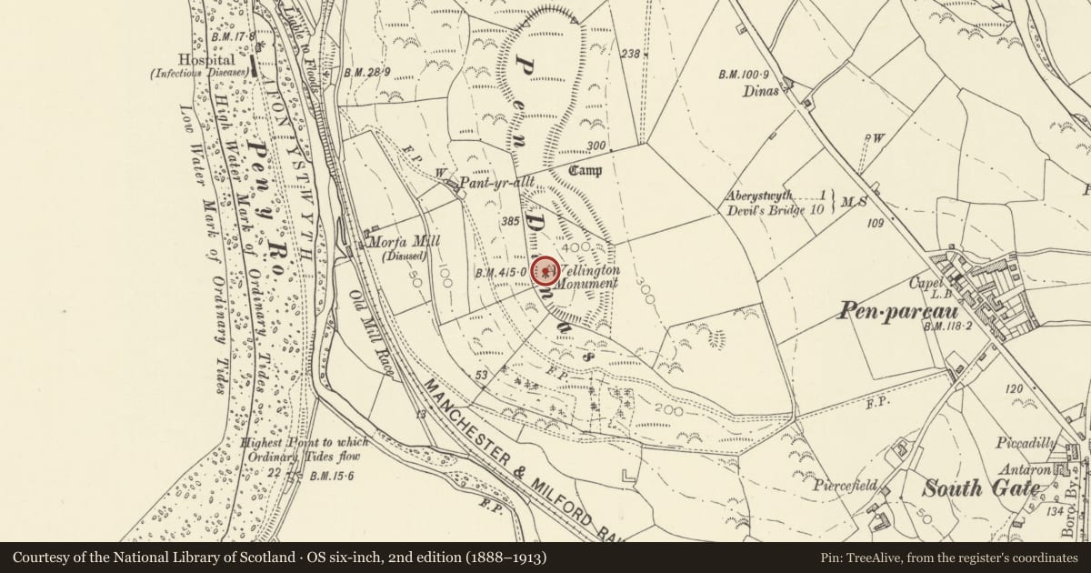 Ordnance Survey six-inch map, 2nd edition (1888–1913) covering the location of Wellington Monument, Aberystwyth, Ceredigion, with a pin at the register's coordinates