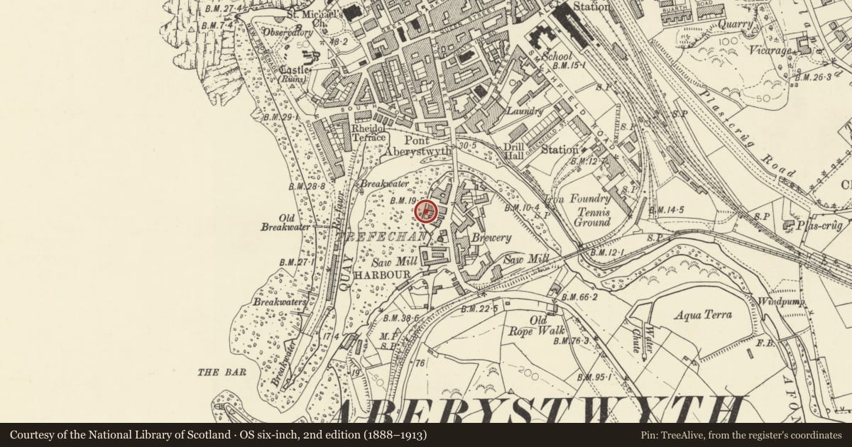 Ordnance Survey six-inch map, 2nd edition (1888–1913) covering the location of Limekiln, Aberystwyth, Ceredigion, with a pin at the register's coordinates