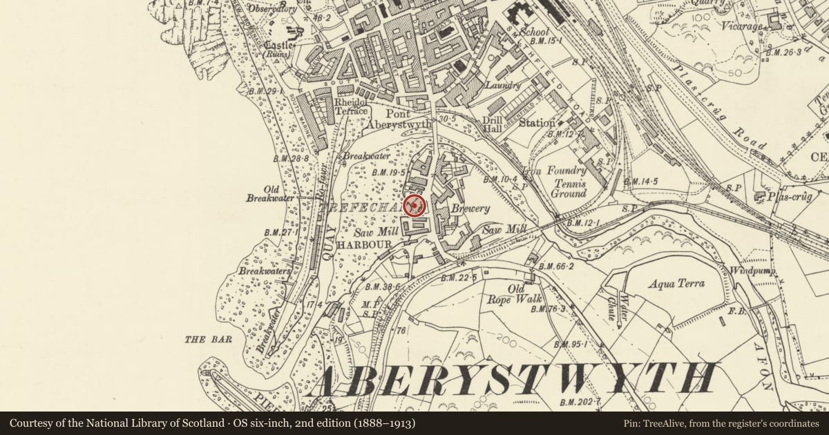 Ordnance Survey six-inch map, 2nd edition (1888–1913) covering the location of Limekiln, Aberystwyth, Ceredigion, with a pin at the register's coordinates
