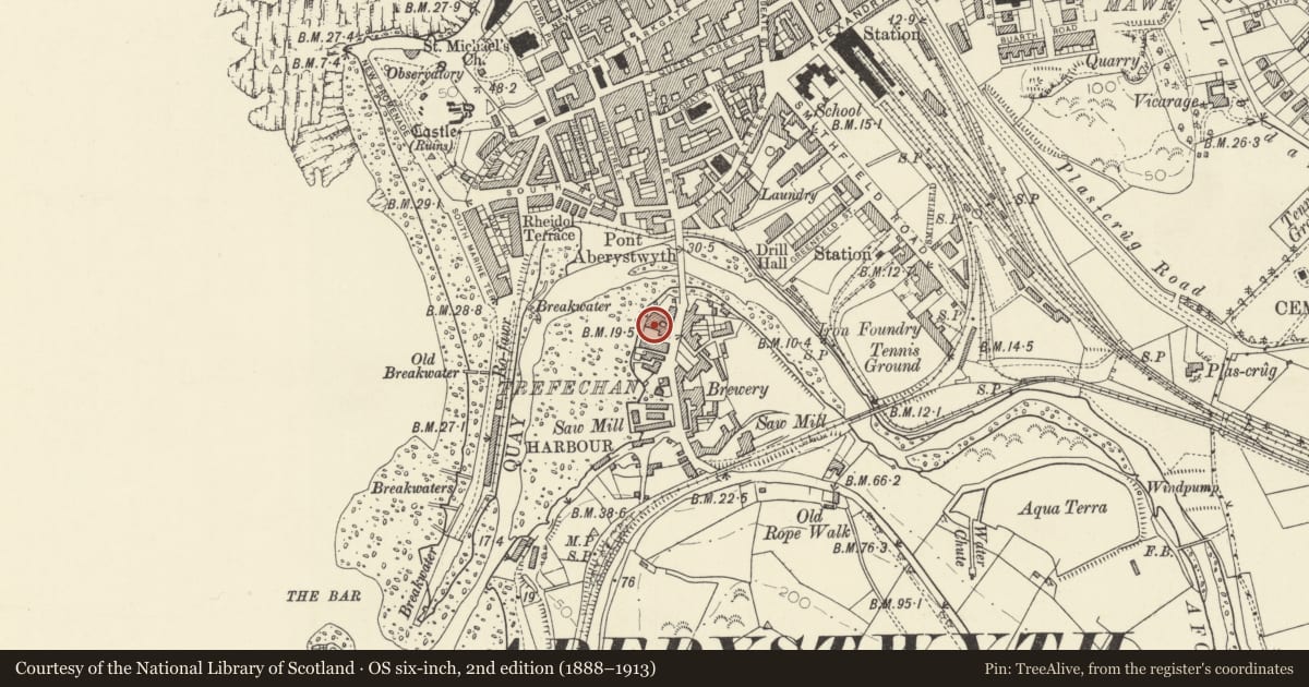 Ordnance Survey six-inch map, 2nd edition (1888–1913) covering the location of Malthouse Kiln including B & D Joinery Warehouse (formerly listed as Oasthouse only), Aberystwyth, Ceredigion, with a pin at the register's coordinates