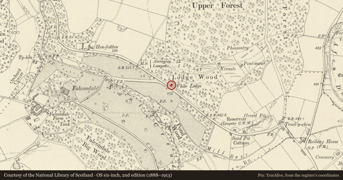 Ordnance Survey six-inch map, 2nd edition (1888–1913) covering the location of Glyncoed, Lampeter, Ceredigion, with a pin at the register's coordinates