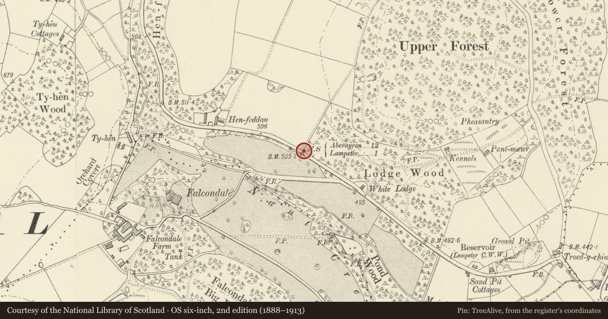 Ordnance Survey six-inch map, 2nd edition (1888–1913) covering the location of Milestone, Lampeter, Ceredigion, with a pin at the register's coordinates