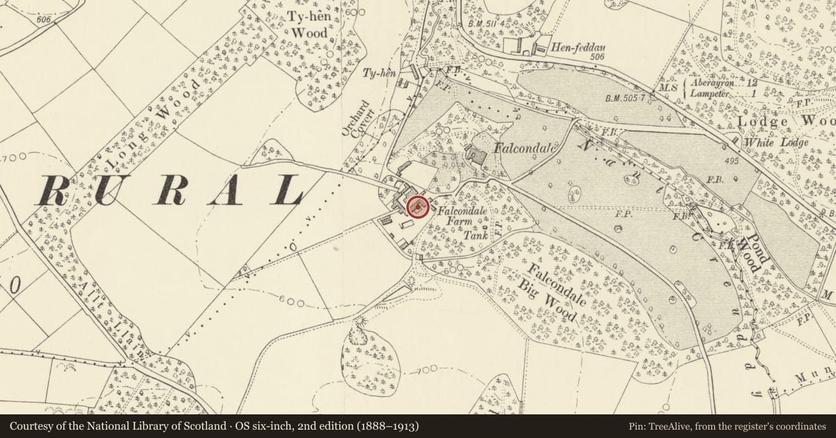 Ordnance Survey six-inch map, 2nd edition (1888–1913) covering the location of Former Coach-house to Falcondale House, Lampeter, Ceredigion, with a pin at the register's coordinates