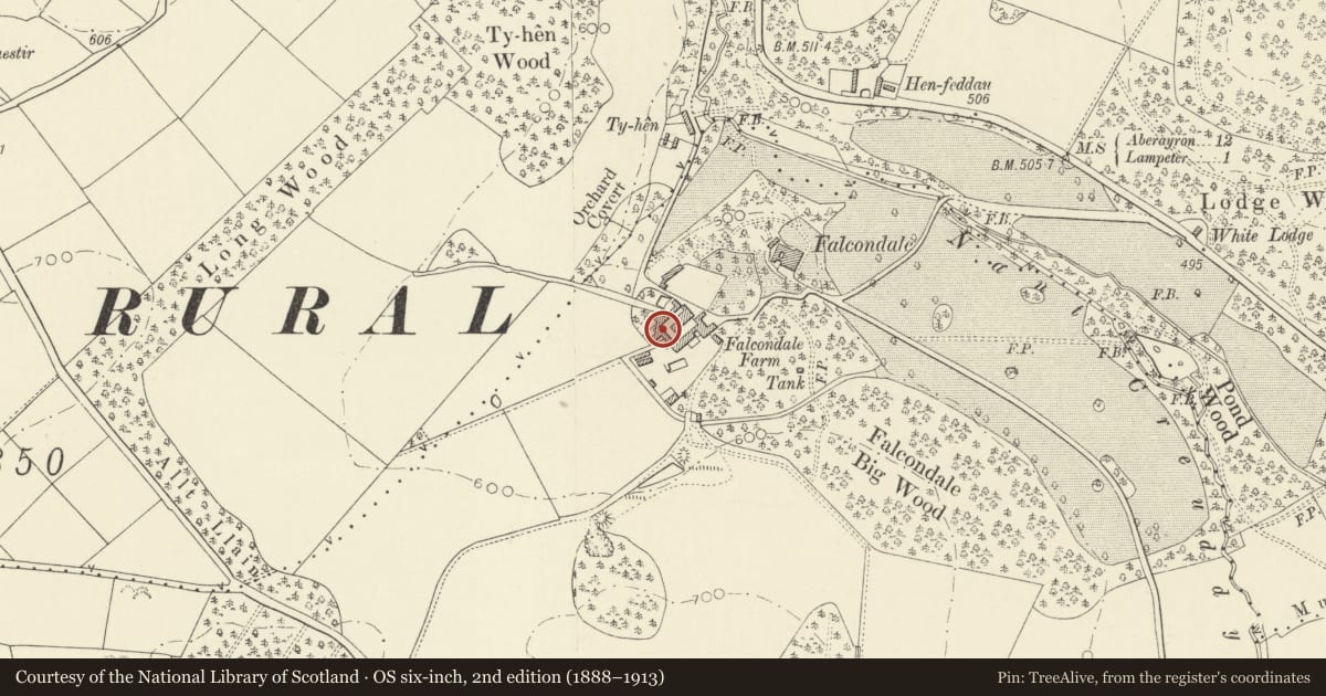 Ordnance Survey six-inch map, 2nd edition (1888–1913) covering the location of Falcondale Home Farm, Lampeter, Ceredigion, with a pin at the register's coordinates