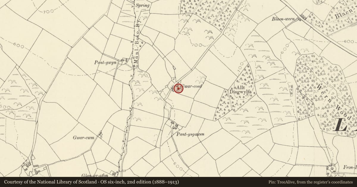 Ordnance Survey six-inch map, 2nd edition (1888–1913) covering the location of Gwar-Coed Farmhouse, Lampeter, Ceredigion, with a pin at the register's coordinates