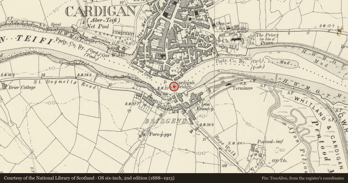Ordnance Survey six-inch map, 2nd edition (1888–1913) covering the location of Cardigan Bridge, Ceredigion, with a pin at the register's coordinates