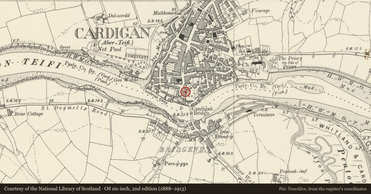 Ordnance Survey six-inch map, 2nd edition (1888–1913) covering the location of Ty Castell, Cardigan, Ceredigion, with a pin at the register's coordinates