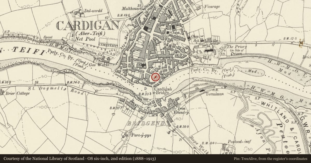Ordnance Survey six-inch map, 2nd edition (1888–1913) covering the location of Cardigan Castle, Ceredigion, with a pin at the register's coordinates