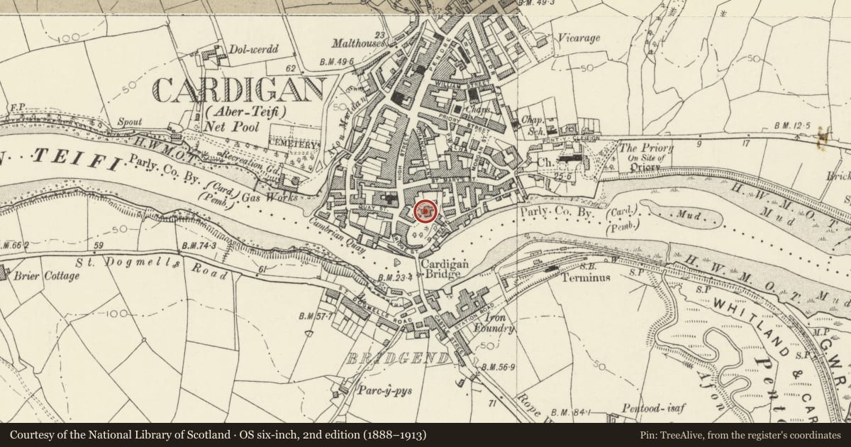 Ordnance Survey six-inch map, 2nd edition (1888–1913) covering the location of Castle Green House, Cardigan, Ceredigion, with a pin at the register's coordinates