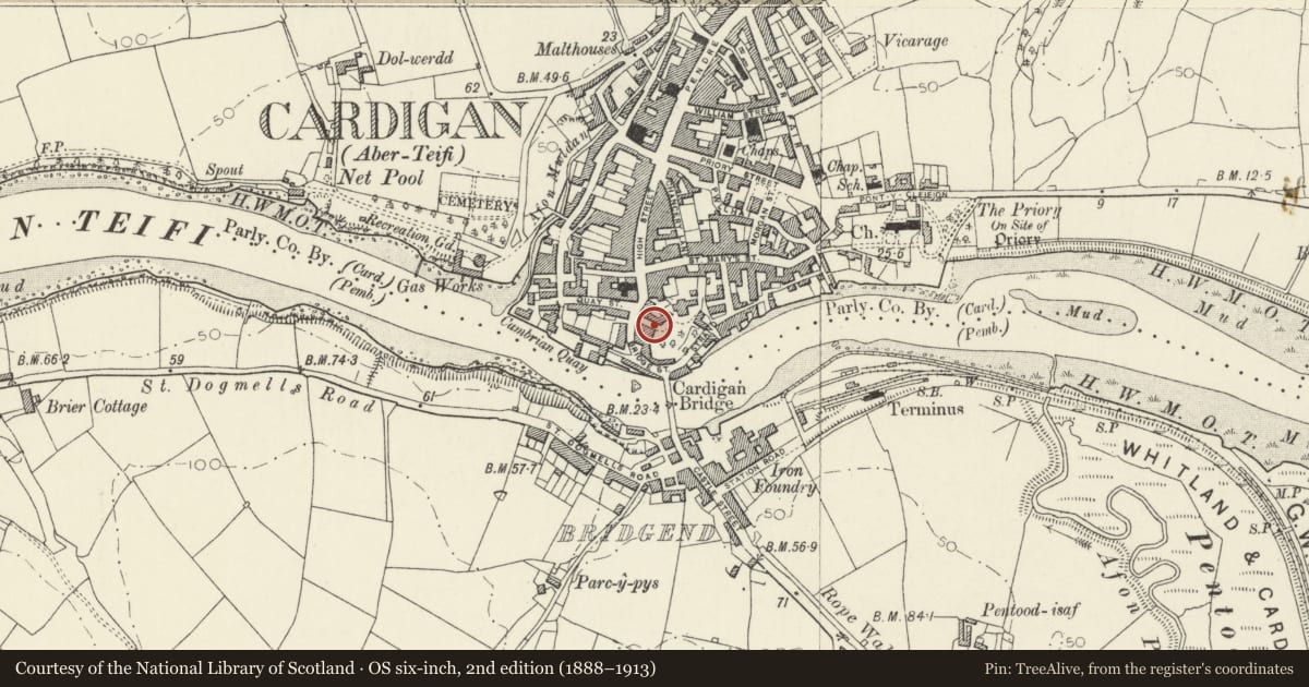 Ordnance Survey six-inch map, 2nd edition (1888–1913) covering the location of Gatepiers & Gates to Castle Green House, Cardigan, Ceredigion, with a pin at the register's coordinates