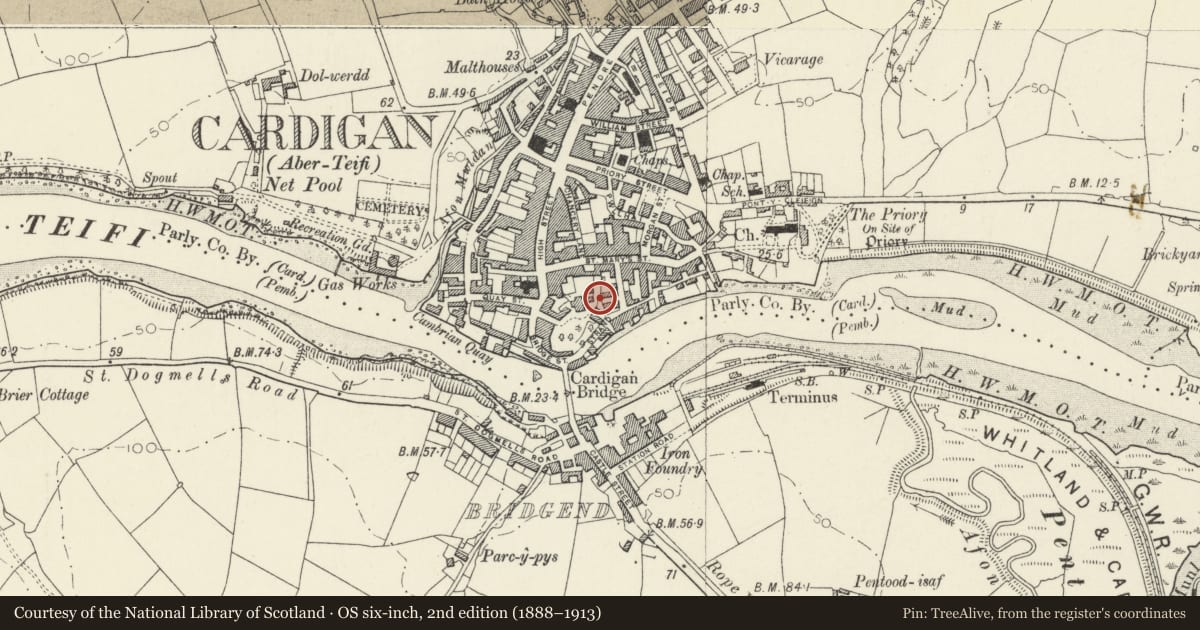Ordnance Survey six-inch map, 2nd edition (1888–1913) covering the location of Retaining Wall in Castle Green Grounds to E of House, Cardigan, Ceredigion, with a pin at the register's coordinates