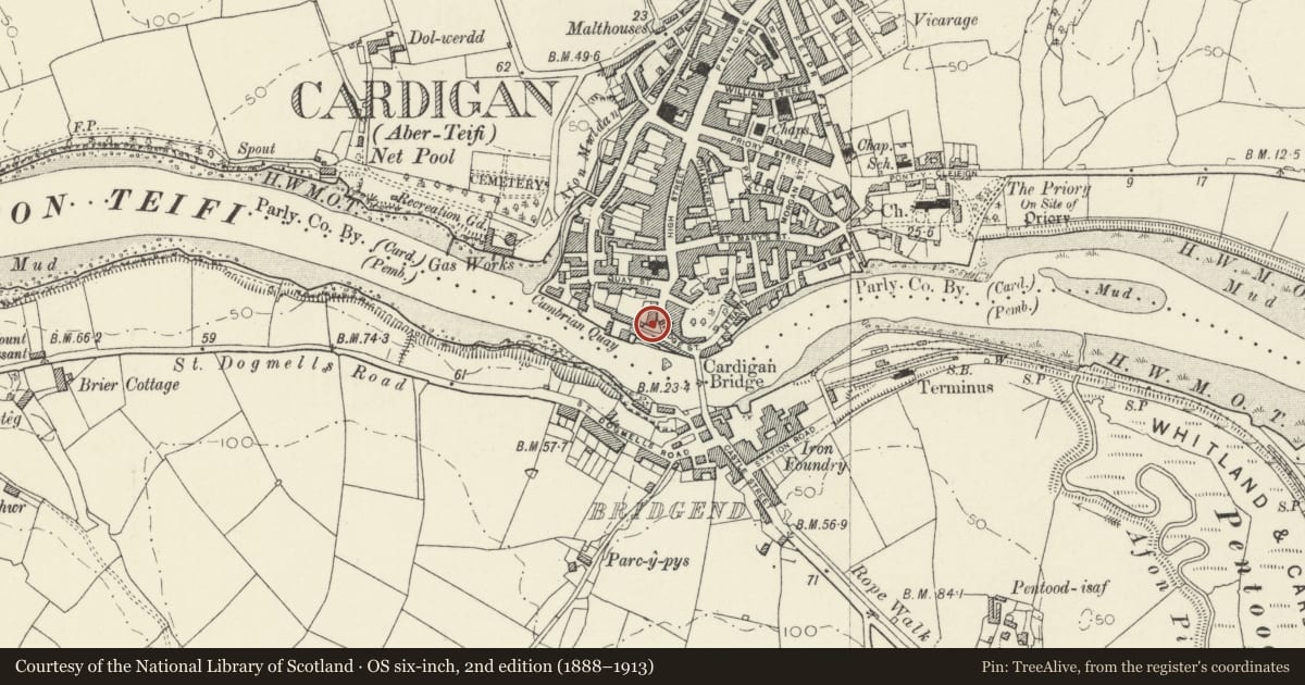 Ordnance Survey six-inch map, 2nd edition (1888–1913) covering the location of The Grosvenor Hotel, Cardigan, Ceredigion, with a pin at the register's coordinates