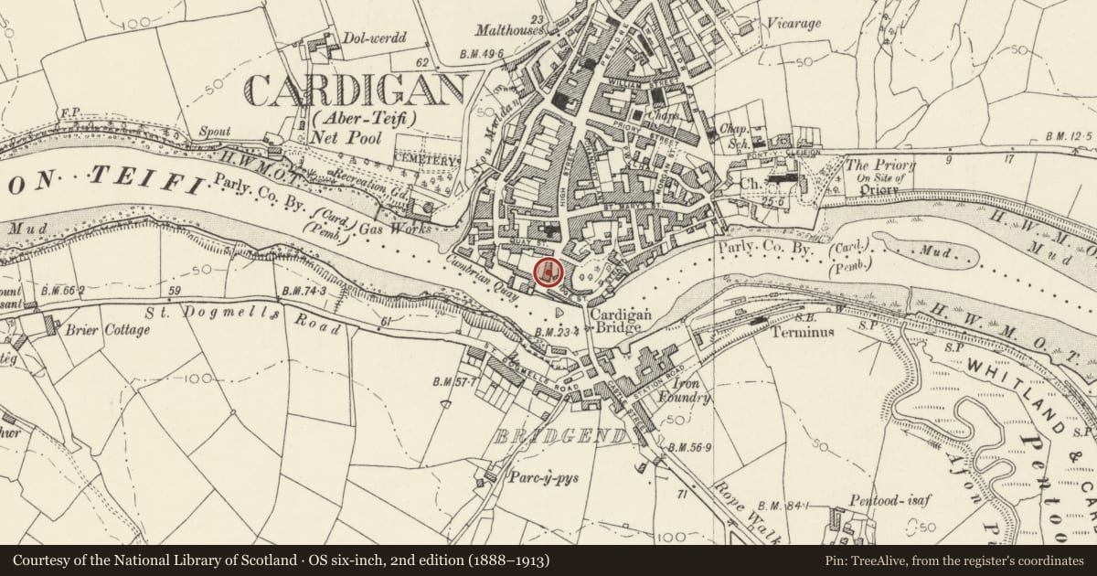 Ordnance Survey six-inch map, 2nd edition (1888–1913) covering the location of Castle Chambers (previously listed with The Grosvenor Hotel), Cardigan, Ceredigion, with a pin at the register's coordinates