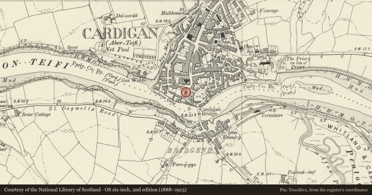 Ordnance Survey six-inch map, 2nd edition (1888–1913) covering the location of Glenroy House, Cardigan, Ceredigion, with a pin at the register's coordinates