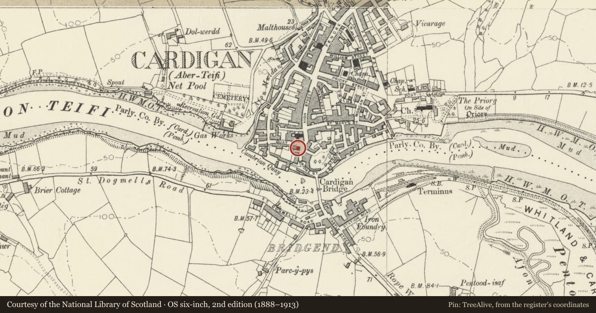 Ordnance Survey six-inch map, 2nd edition (1888–1913) covering the location of Manchester House, Cardigan, Ceredigion, with a pin at the register's coordinates