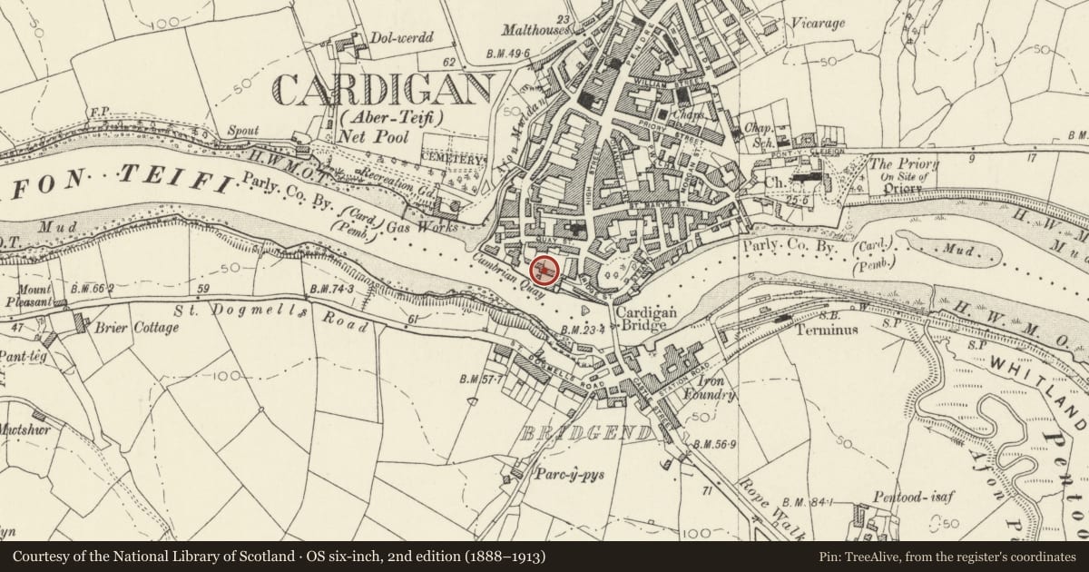 Ordnance Survey six-inch map, 2nd edition (1888–1913) covering the location of No 1 Cambrian Quay including Area Railings, Cardigan, Ceredigion, with a pin at the register's coordinates
