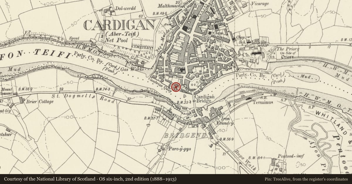 Ordnance Survey six-inch map, 2nd edition (1888–1913) covering the location of Pantywylan, Cardigan, Ceredigion, with a pin at the register's coordinates