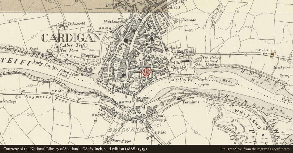 Ordnance Survey six-inch map, 2nd edition (1888–1913) covering the location of Former Hope Chapel, Cardigan, Ceredigion, with a pin at the register's coordinates