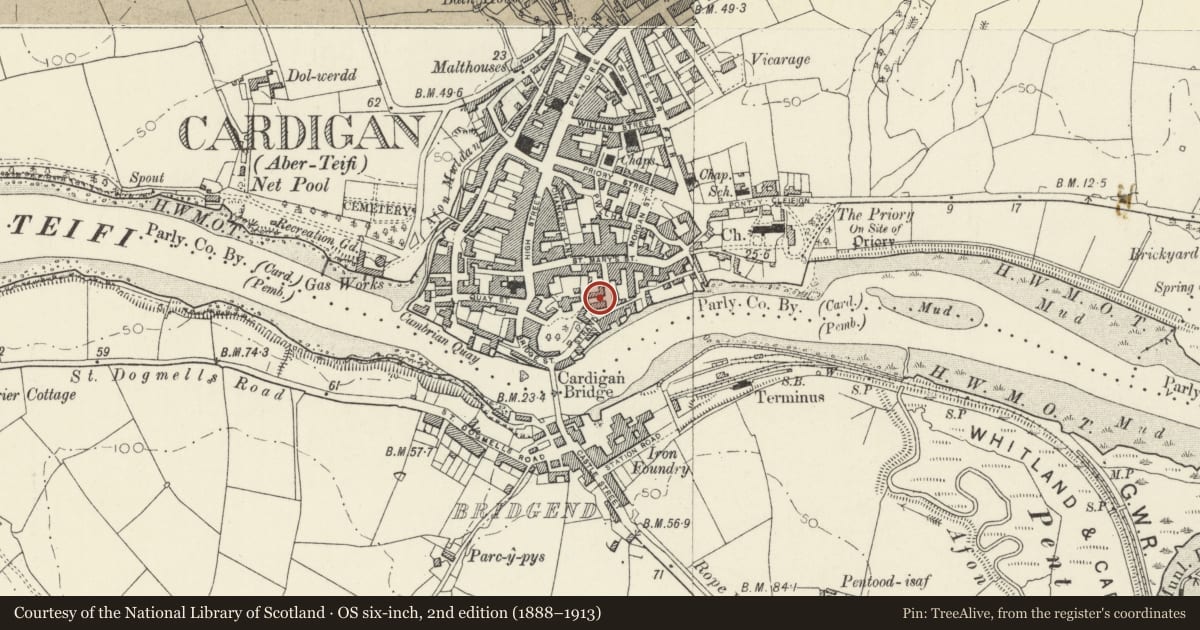 Ordnance Survey six-inch map, 2nd edition (1888–1913) covering the location of Boundary Wall to Castle Green House, Cardigan, Ceredigion, with a pin at the register's coordinates