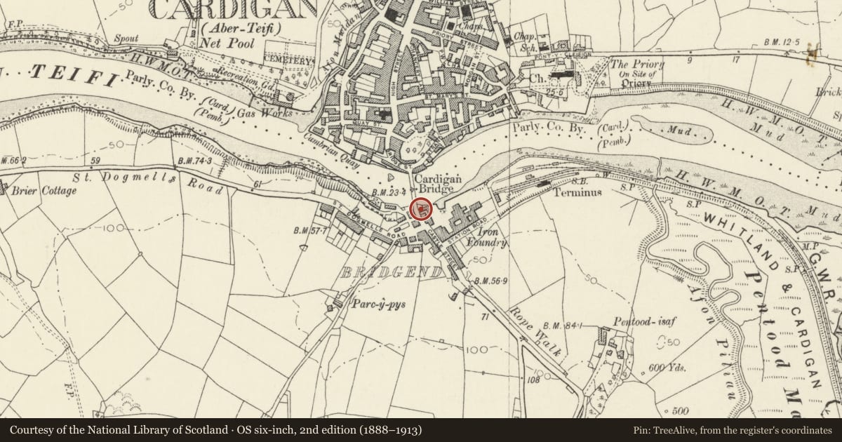 Ordnance Survey six-inch map, 2nd edition (1888–1913) covering the location of The Castle Inn PH, Cardigan, Ceredigion, with a pin at the register's coordinates