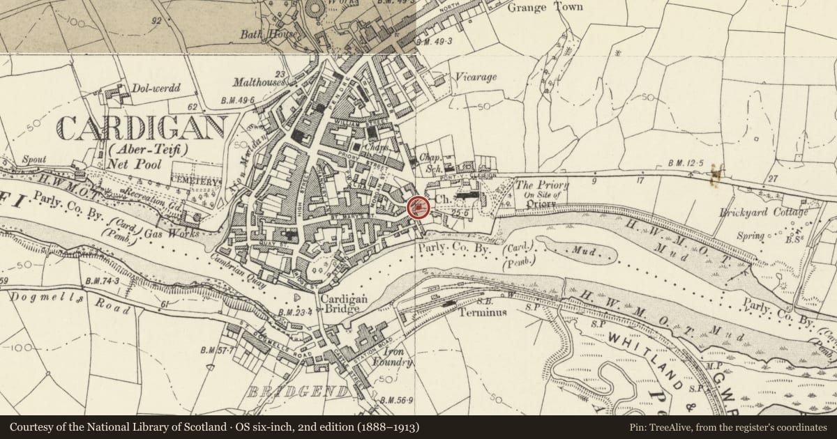 Ordnance Survey six-inch map, 2nd edition (1888–1913) covering the location of Imperial House, Cardigan, Ceredigion, with a pin at the register's coordinates