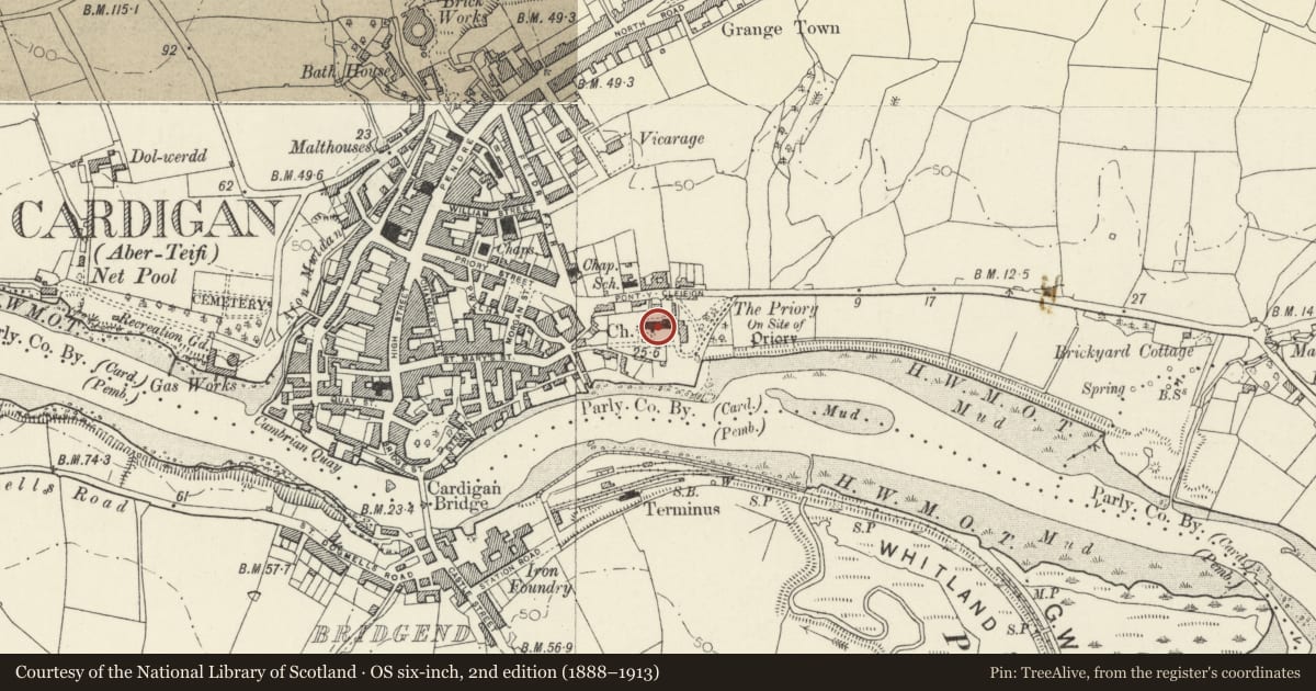 Ordnance Survey six-inch map, 2nd edition (1888–1913) covering the location of Parish Church of St Mary, Cardigan, Ceredigion, with a pin at the register's coordinates