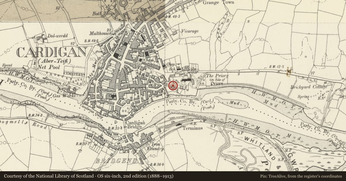 Ordnance Survey six-inch map, 2nd edition (1888–1913) covering the location of Gates & Gatepiers to Churchyard of Church of St Mary, Cardigan, Ceredigion, with a pin at the register's coordinates