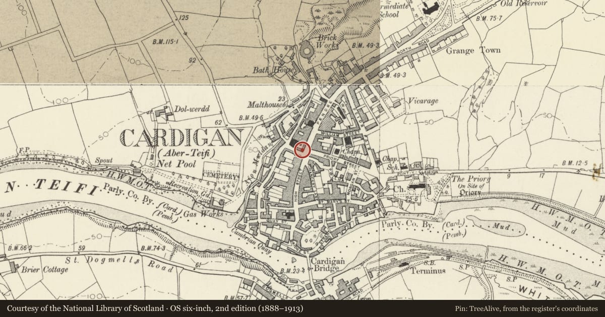 Ordnance Survey six-inch map, 2nd edition (1888–1913) covering the location of The Guildhall & Markets, Cardigan, Ceredigion, with a pin at the register's coordinates