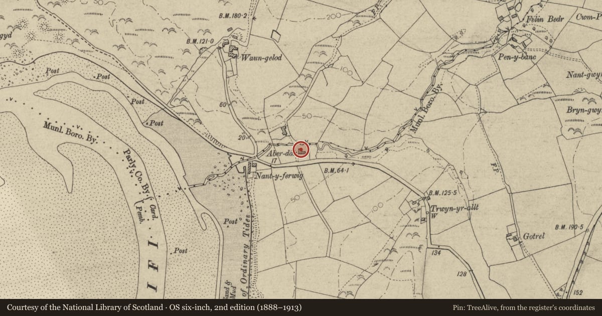 Ordnance Survey six-inch map, 2nd edition (1888–1913) covering the location of Aberdare, Cardigan, Ceredigion, with a pin at the register's coordinates