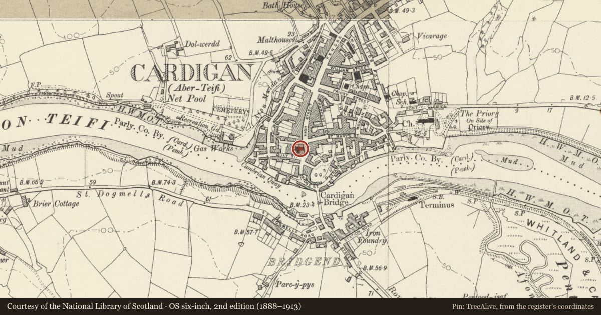 Ordnance Survey six-inch map, 2nd edition (1888–1913) covering the location of The Old Shire Hall, Cardigan, Ceredigion, with a pin at the register's coordinates