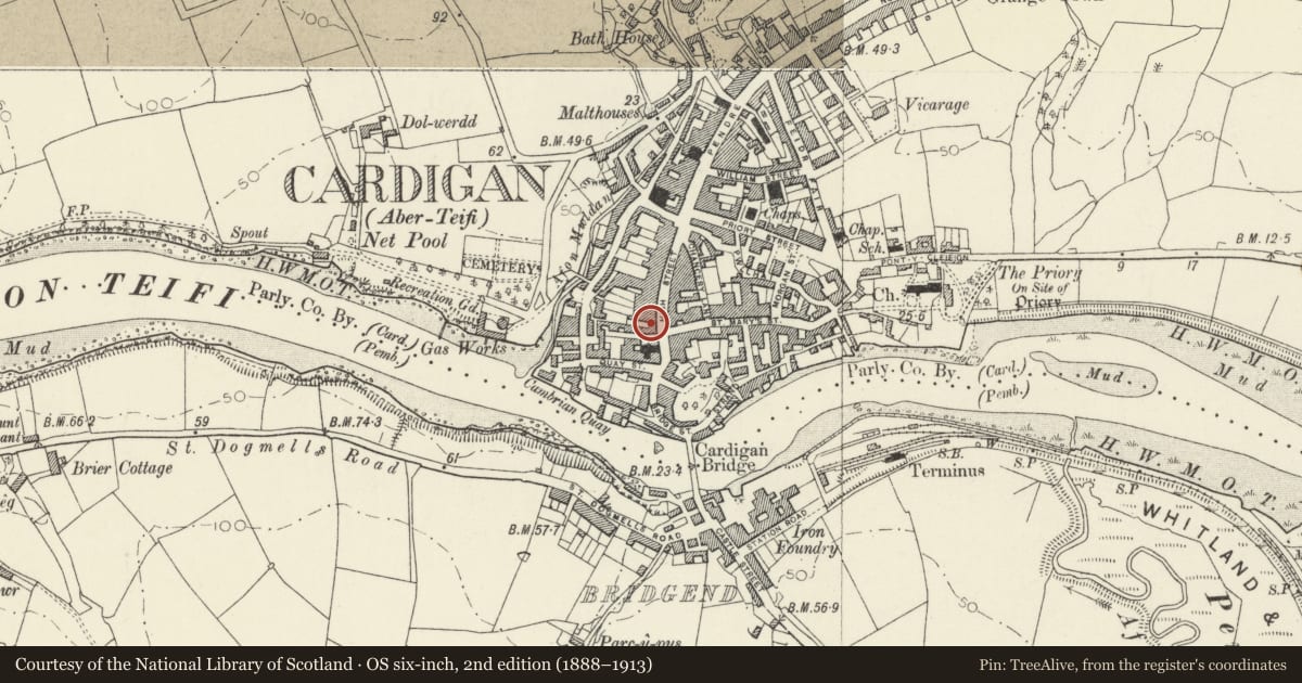 Ordnance Survey six-inch map, 2nd edition (1888–1913) covering the location of National Westminster Bank, Cardigan, Ceredigion, with a pin at the register's coordinates