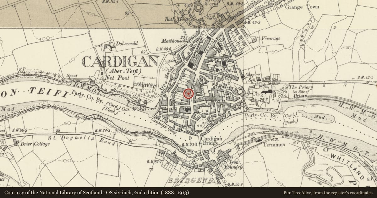 Ordnance Survey six-inch map, 2nd edition (1888–1913) covering the location of 9 High Street, Cardigan, Ceredigion, with a pin at the register's coordinates