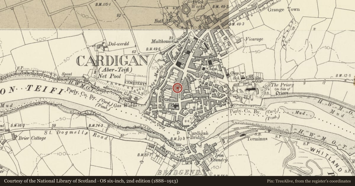 Ordnance Survey six-inch map, 2nd edition (1888–1913) covering the location of Midland Bank, Cardigan, Ceredigion, with a pin at the register's coordinates