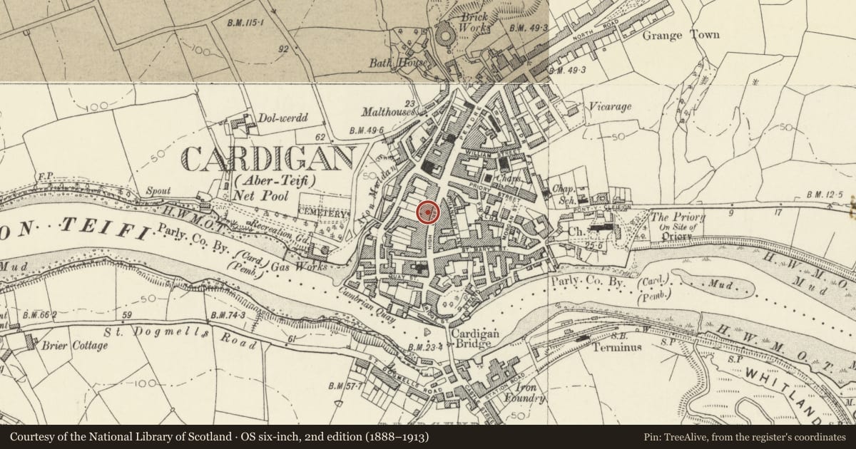 Ordnance Survey six-inch map, 2nd edition (1888–1913) covering the location of Lloyds Bank, Cardigan, Ceredigion, with a pin at the register's coordinates