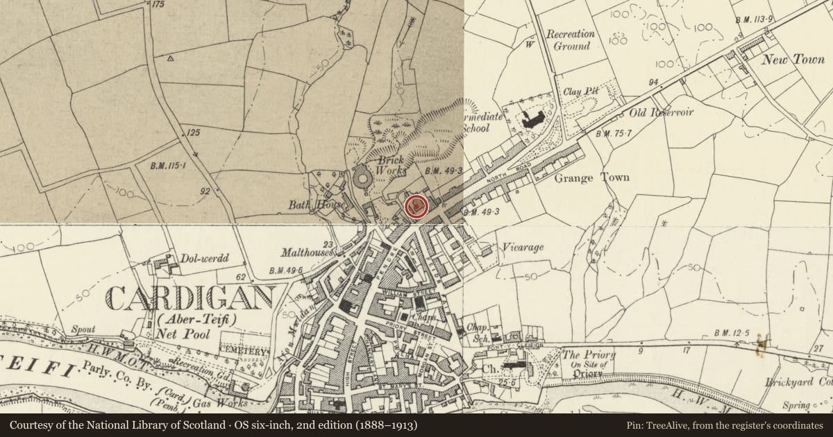 Ordnance Survey six-inch map, 2nd edition (1888–1913) covering the location of Stanley House including Garden Wall Gatepiers and Gate, Cardigan, Ceredigion, with a pin at the register's coordinates