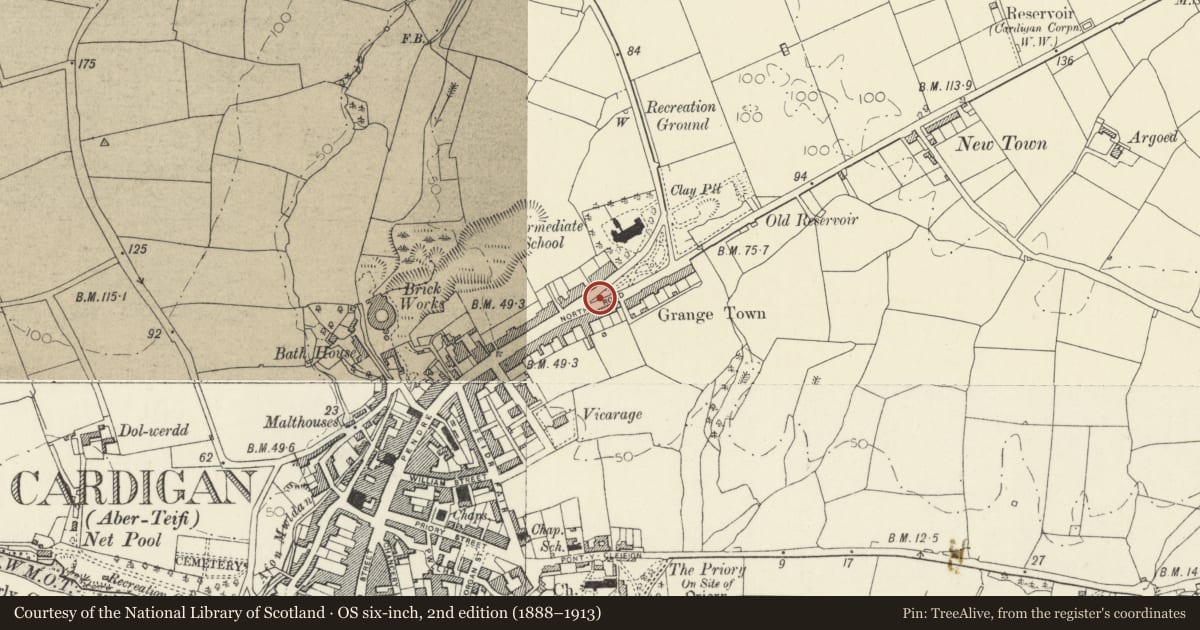 Ordnance Survey six-inch map, 2nd edition (1888–1913) covering the location of The War Memorial including surrounding fence, Cardigan, Ceredigion, with a pin at the register's coordinates