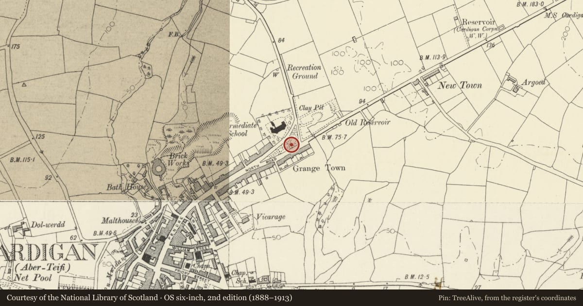 Ordnance Survey six-inch map, 2nd edition (1888–1913) covering the location of Bandstand in Victoria Gardens, Cardigan, Ceredigion, with a pin at the register's coordinates