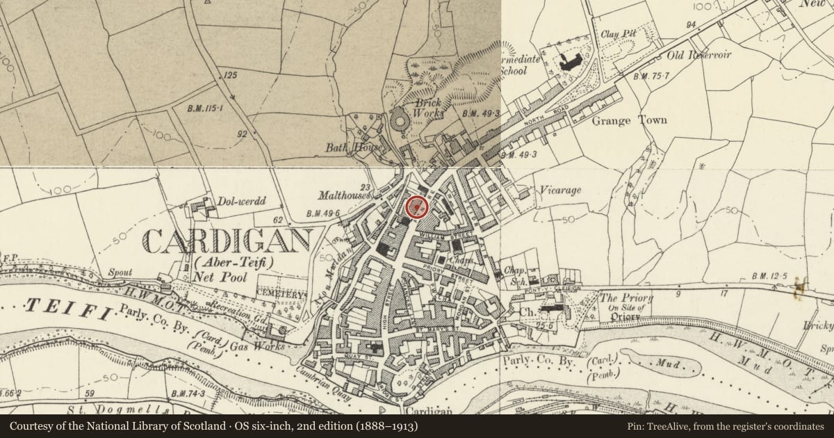 Ordnance Survey six-inch map, 2nd edition (1888–1913) covering the location of Treflyn, Cardigan, Ceredigion, with a pin at the register's coordinates